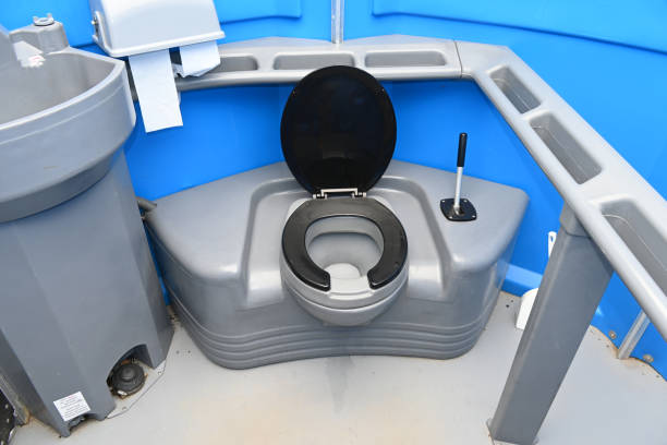 Best Porta potty rental for parties  in Ovid, MI